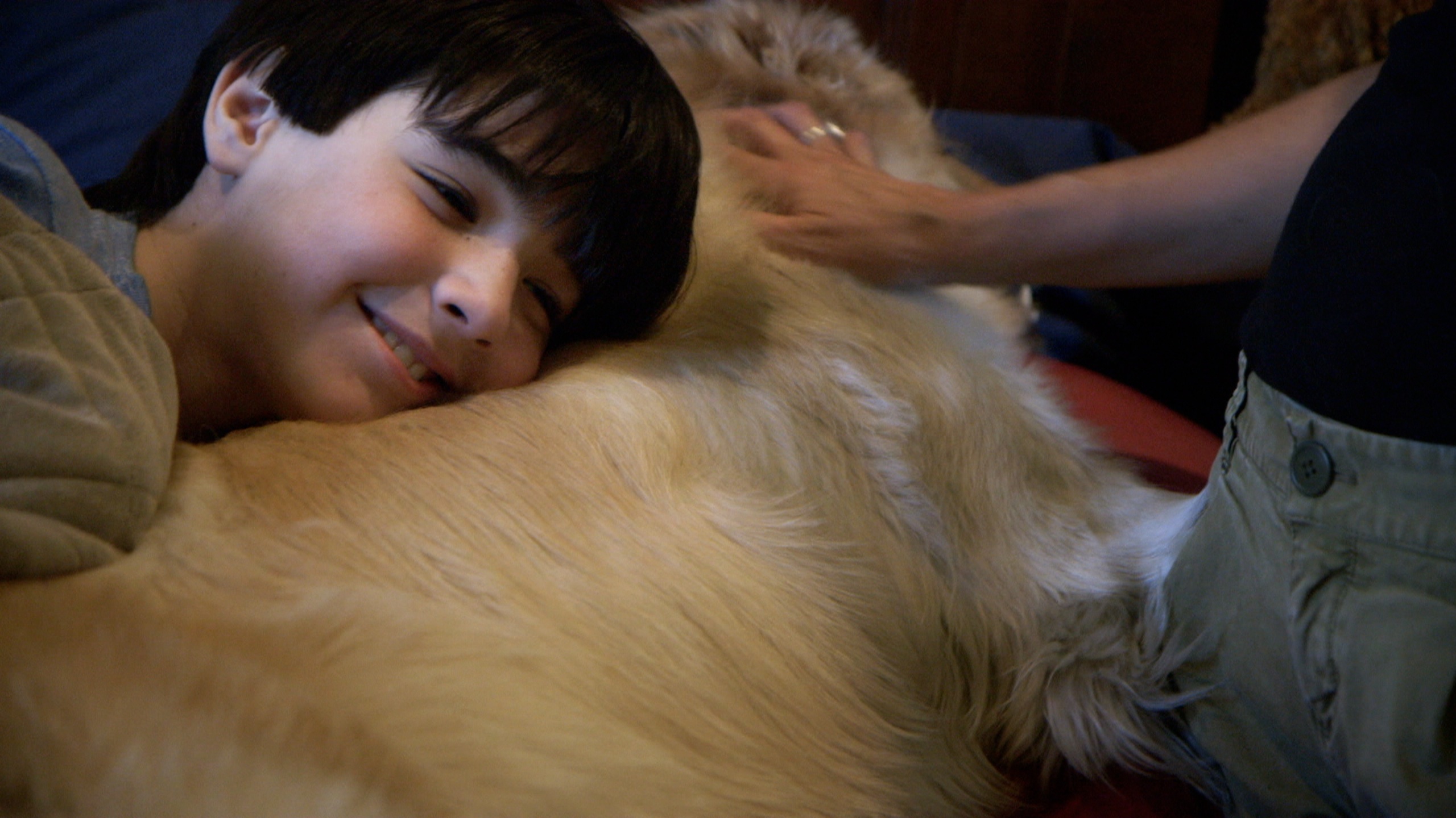 IFFBoston Doc Review for the love of dogs Evan Crean's Film Reviews